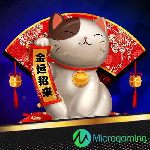 Micro Gaming